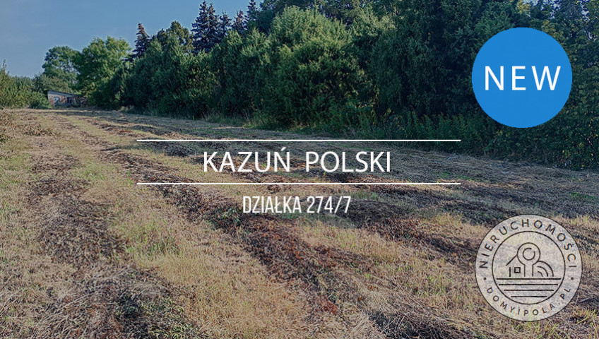 Działka Sprzedaż Kazuń Polski