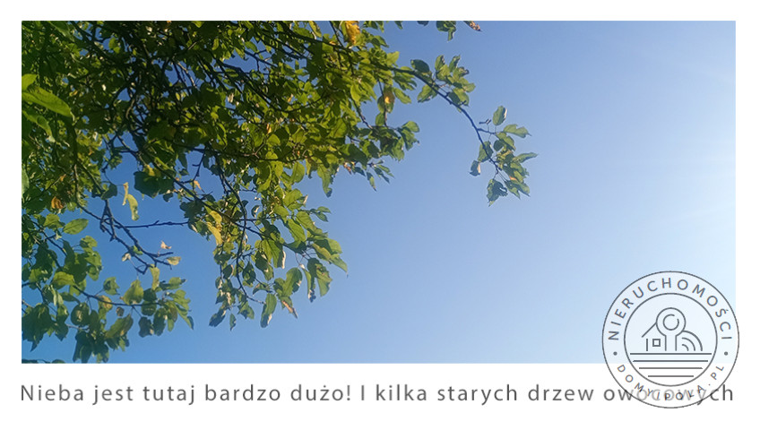 Działka Sprzedaż Stare Gniewniewice