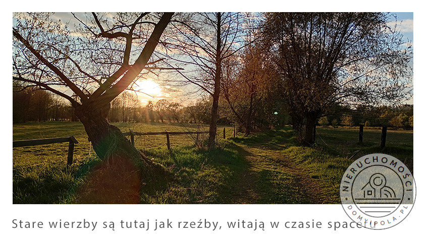 Dom Sprzedaż Nowy Secymin