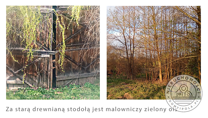 Dom Sprzedaż Nowy Secymin