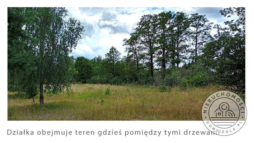 Działka Sprzedaż Cybulice Małe