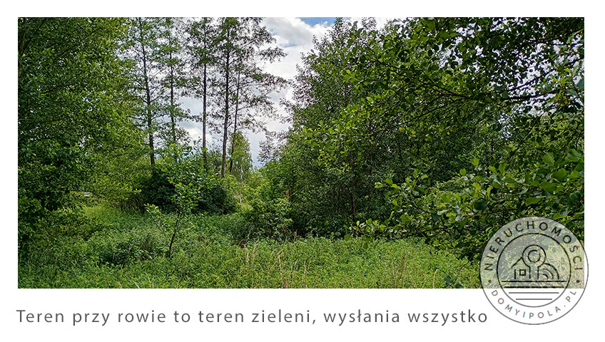 Działka Sprzedaż Cybulice Małe
