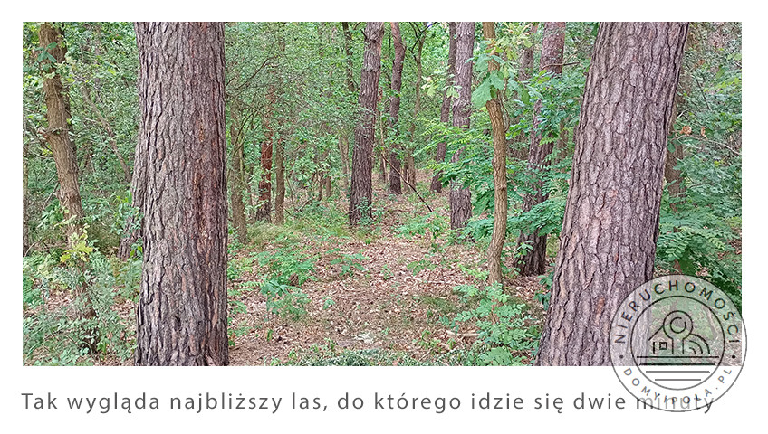Działka Sprzedaż Cybulice Małe