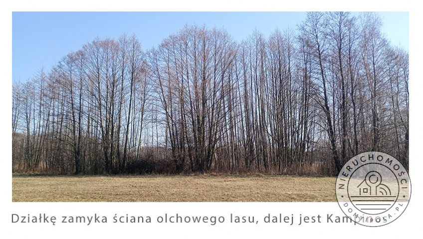 Działka Sprzedaż Krubiczew