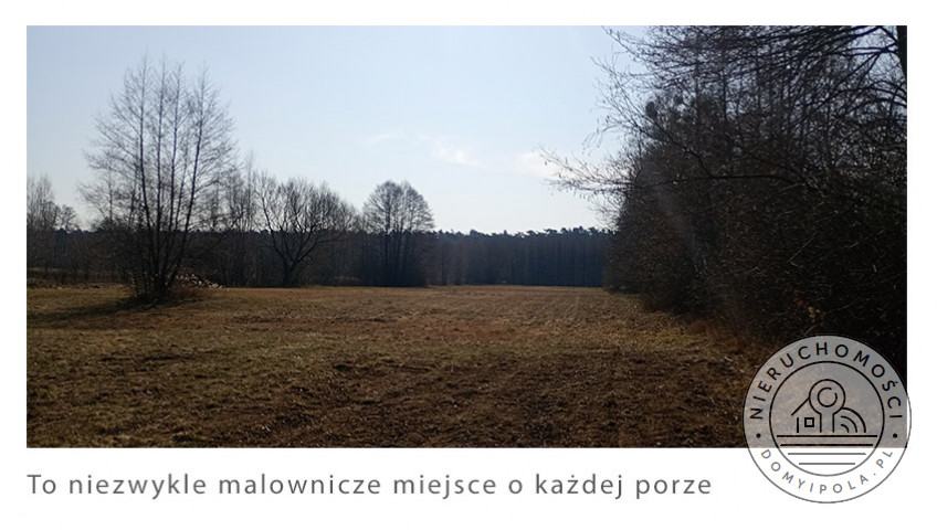 Działka Sprzedaż Krubiczew