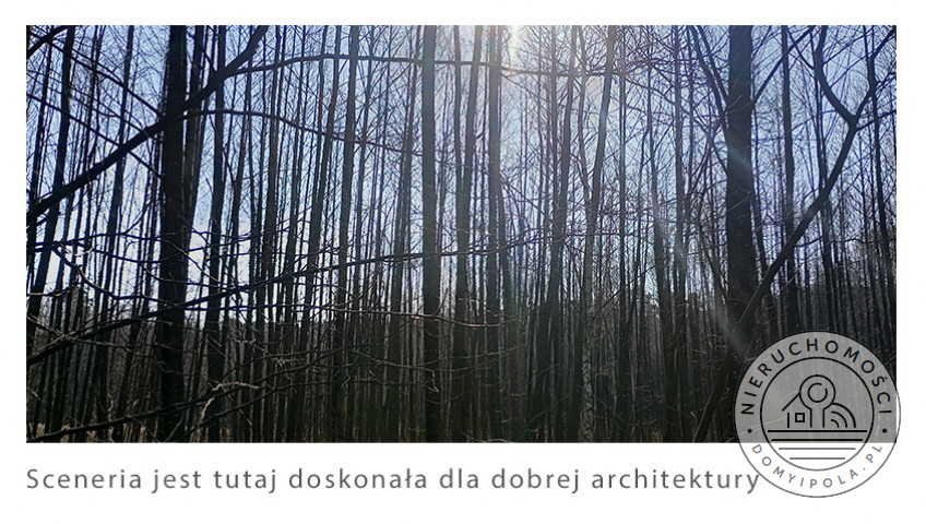 Działka Sprzedaż Krubiczew