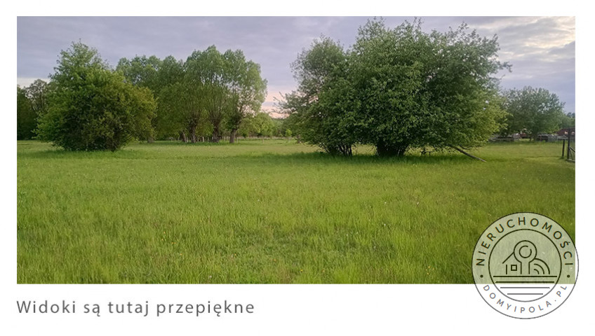 Działka Sprzedaż Krubiczew