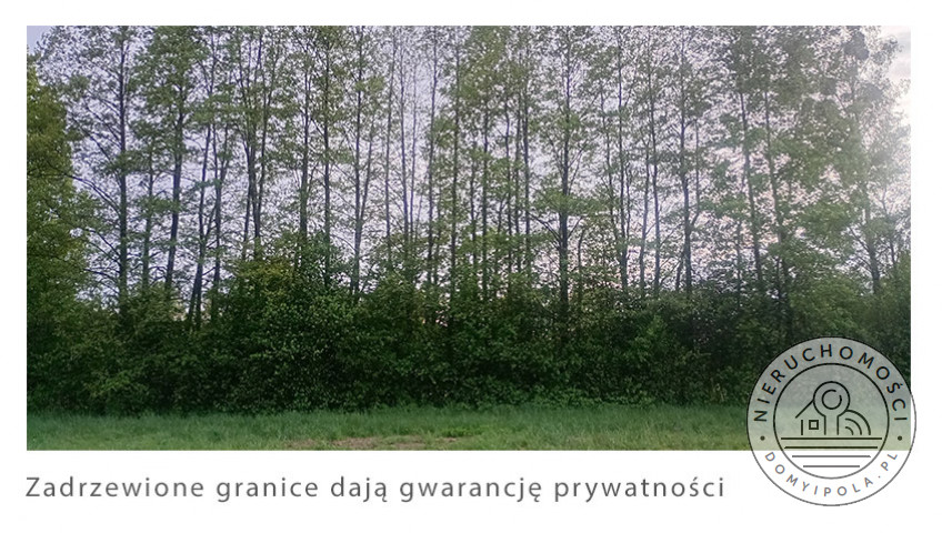 Działka Sprzedaż Krubiczew