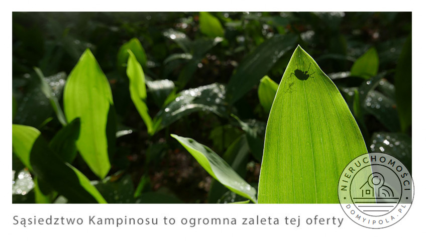Działka Sprzedaż Krubiczew