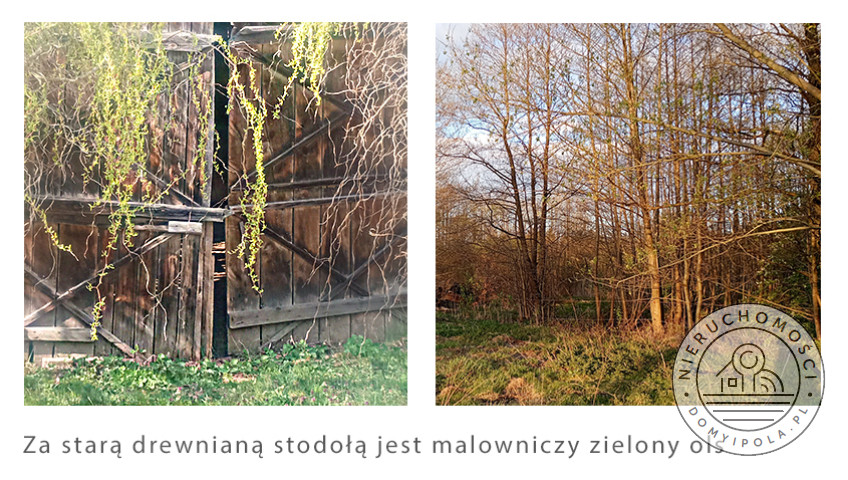 Dom Sprzedaż Nowy Secymin