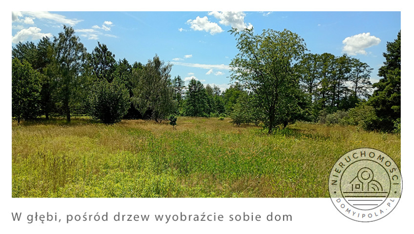 Działka Sprzedaż Cybulice Małe