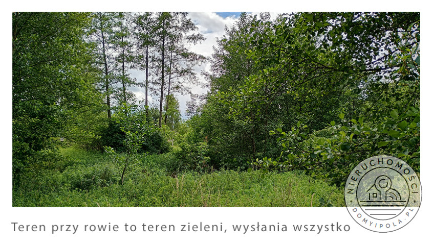 Działka Sprzedaż Cybulice Małe