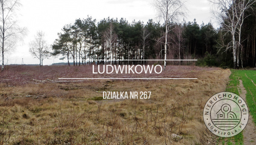 Działka Sprzedaż Ludwikowo