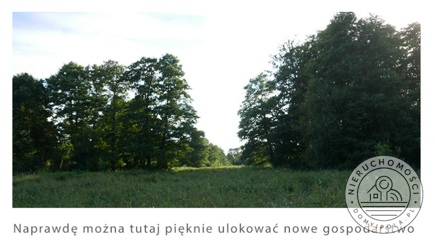 Działka Sprzedaż Nowe Polesie