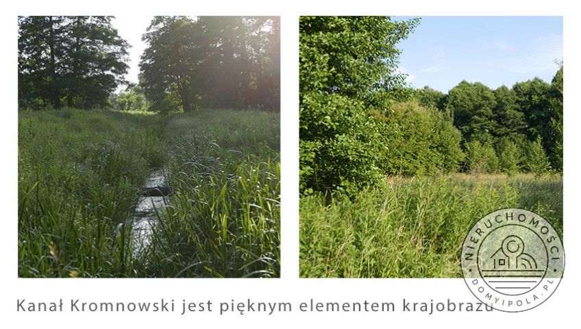 Działka Sprzedaż Nowe Polesie