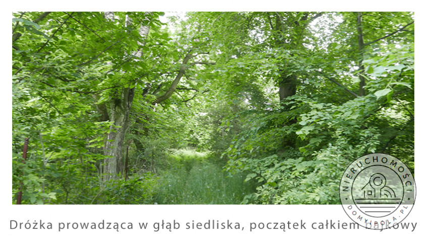 Działka Sprzedaż Brzozówka