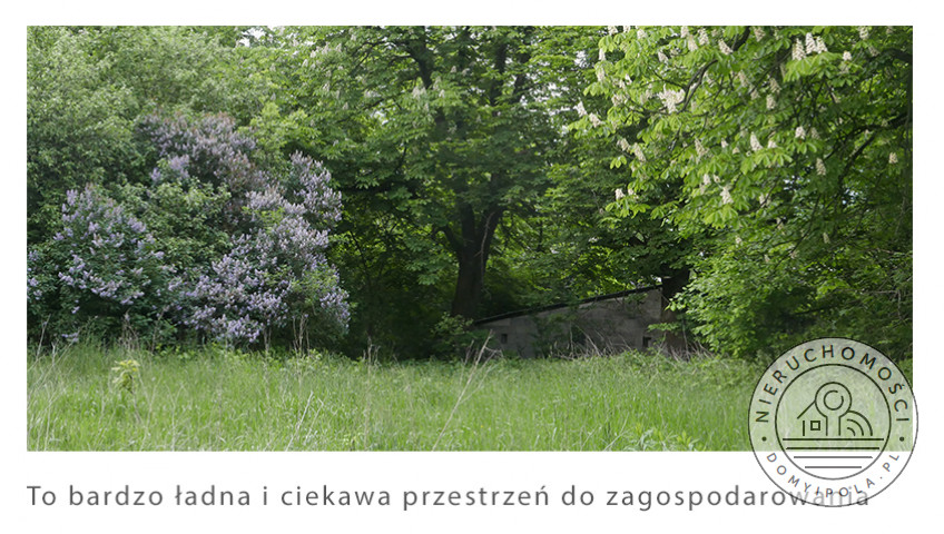 Działka Sprzedaż Brzozówka