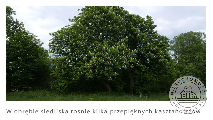 Działka Sprzedaż Brzozówka
