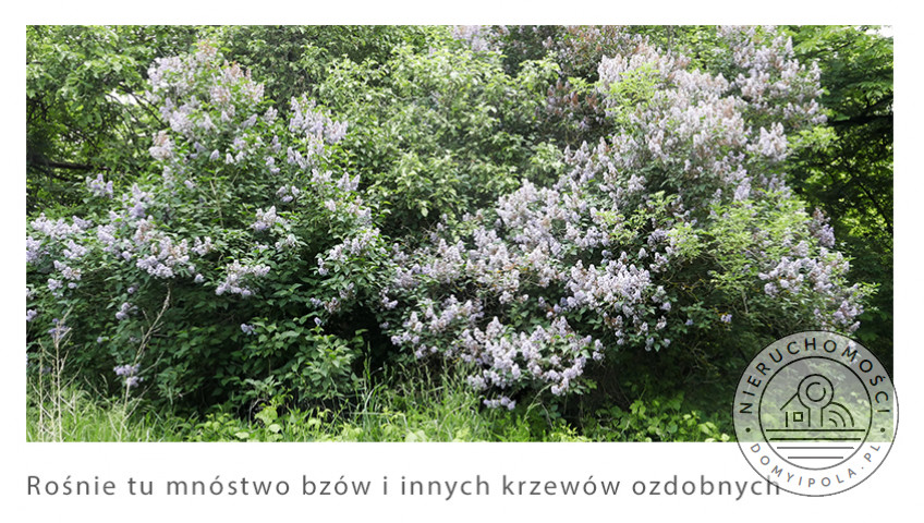 Działka Sprzedaż Brzozówka
