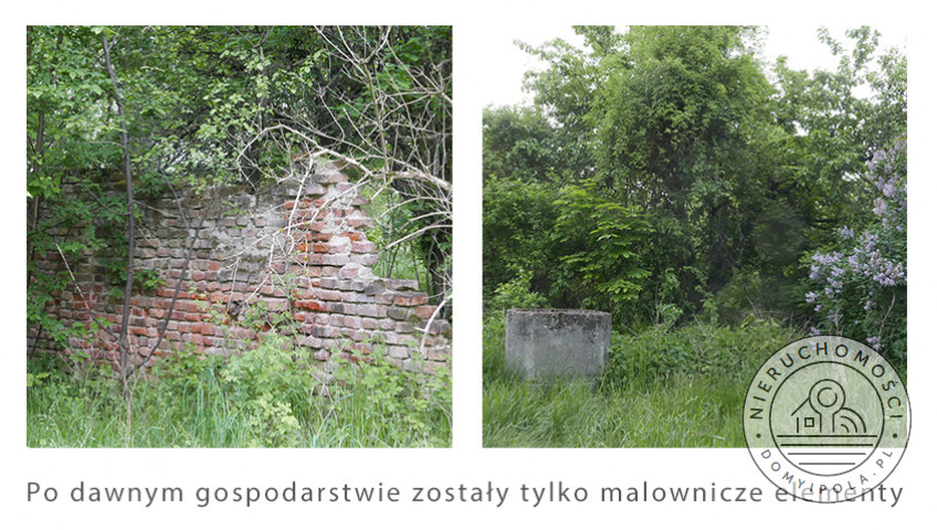 Działka Sprzedaż Brzozówka