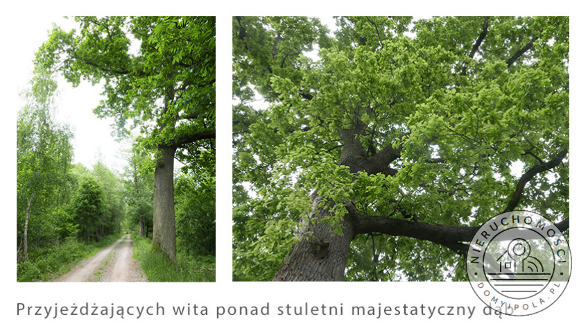Działka Sprzedaż Brzozówka