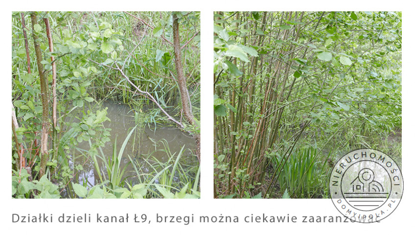 Działka Sprzedaż Brzozówka